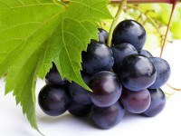 UVAS
